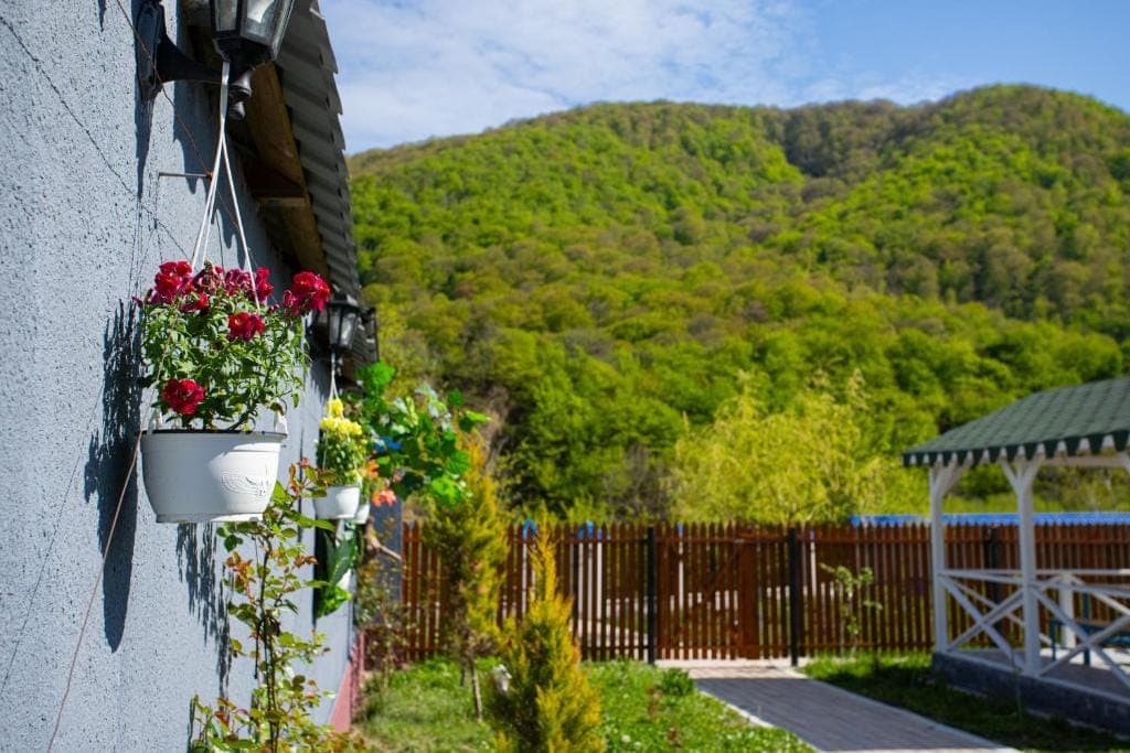Mirvari A-Frame Riverside — Qubada Çay Kənarı A-Frame Ev