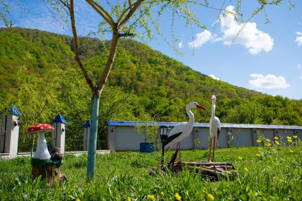 Mirvari A-Frame Riverside — Qubada Çay Kənarı A-Frame Ev