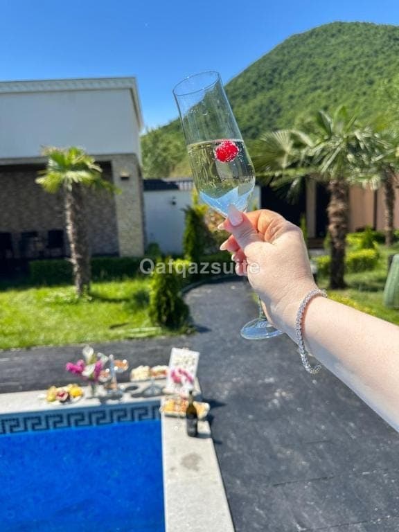Palmen Villa Gabala